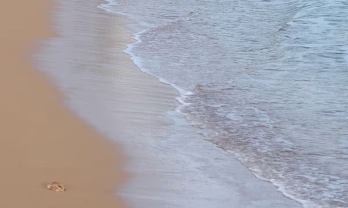 Photo of Others in Kapaa