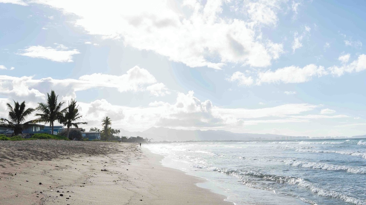 Photo of Others in Ewa Beach