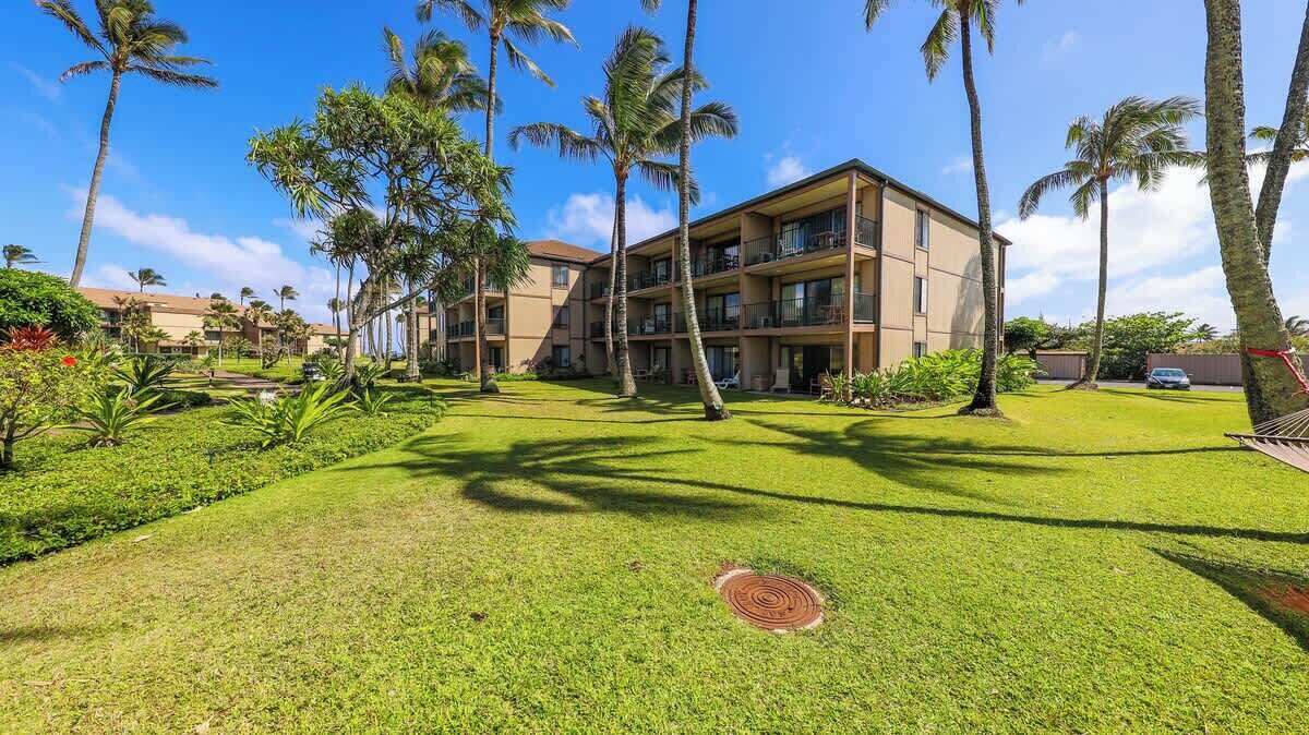 Photo of Outdoor in Kapaa