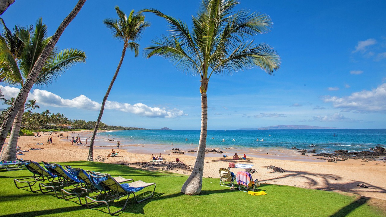 Photo of Others in Kihei