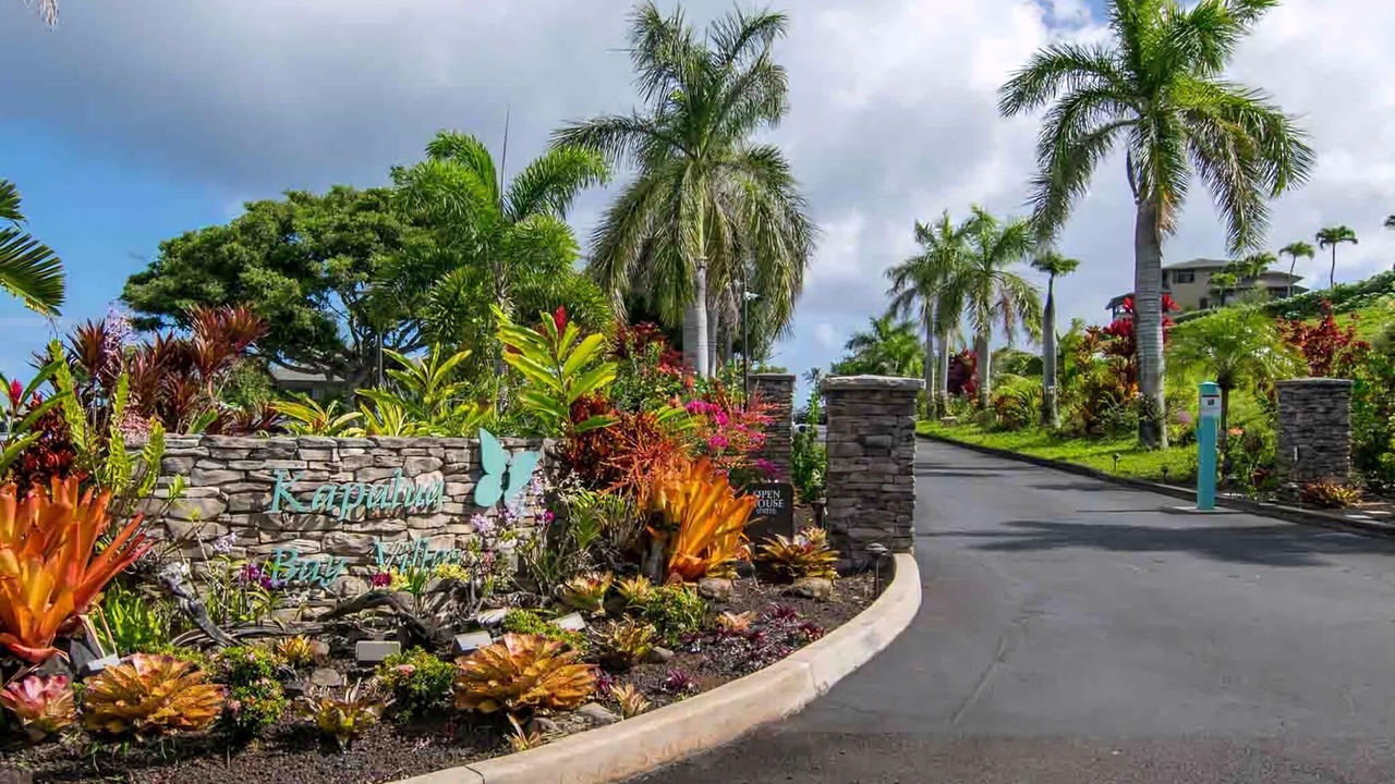 Photo of Others in Napili