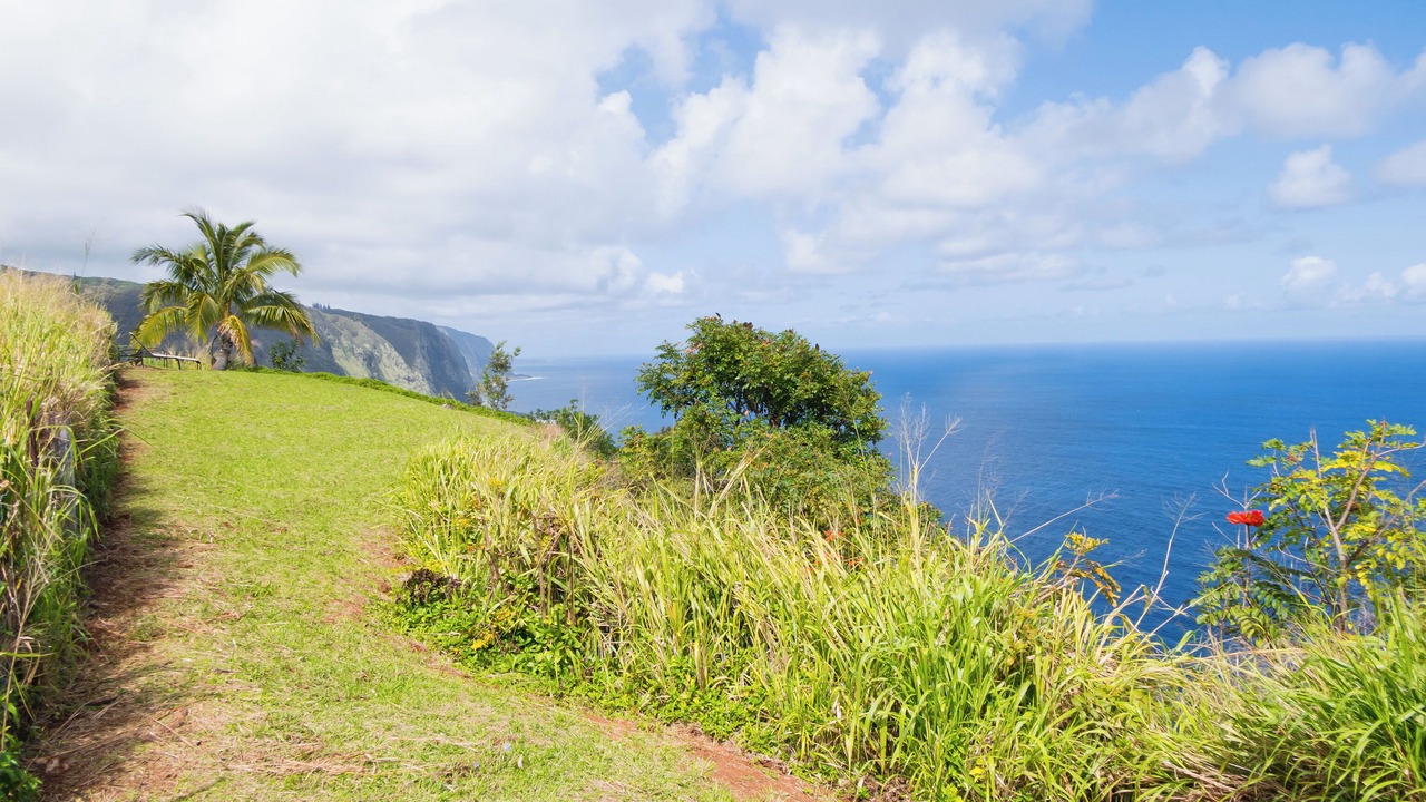 Photo of Outdoor in Kukuihaele