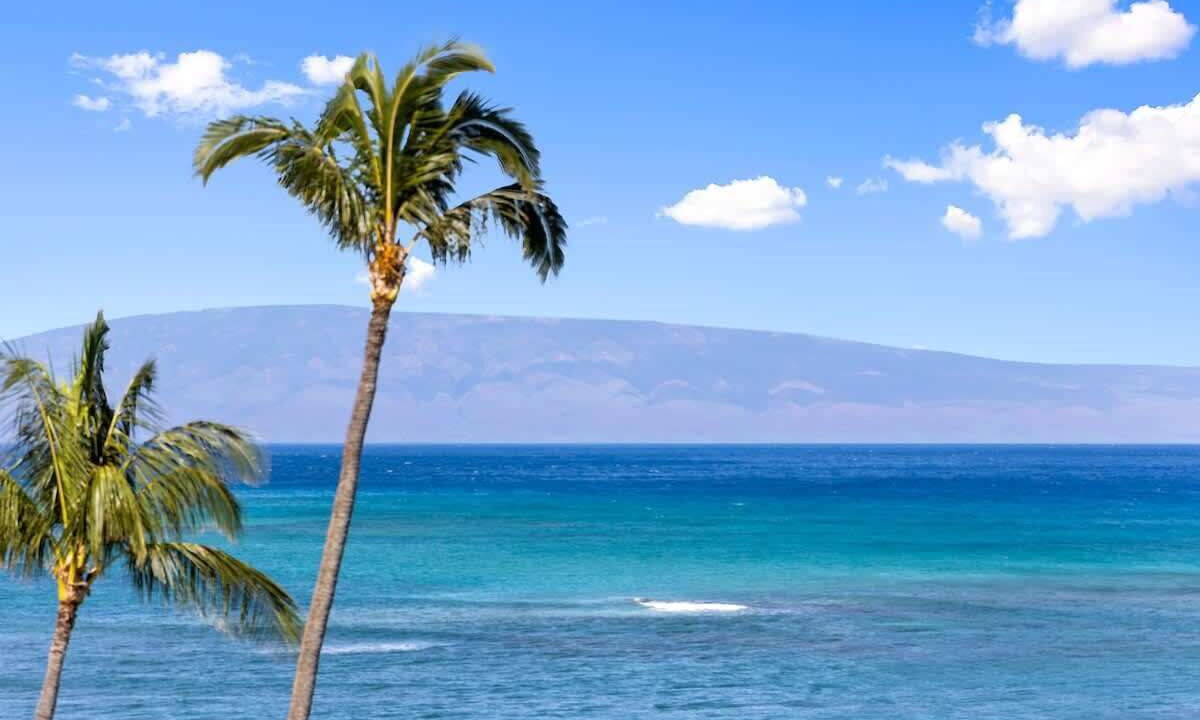 Photo of Others in Kahana