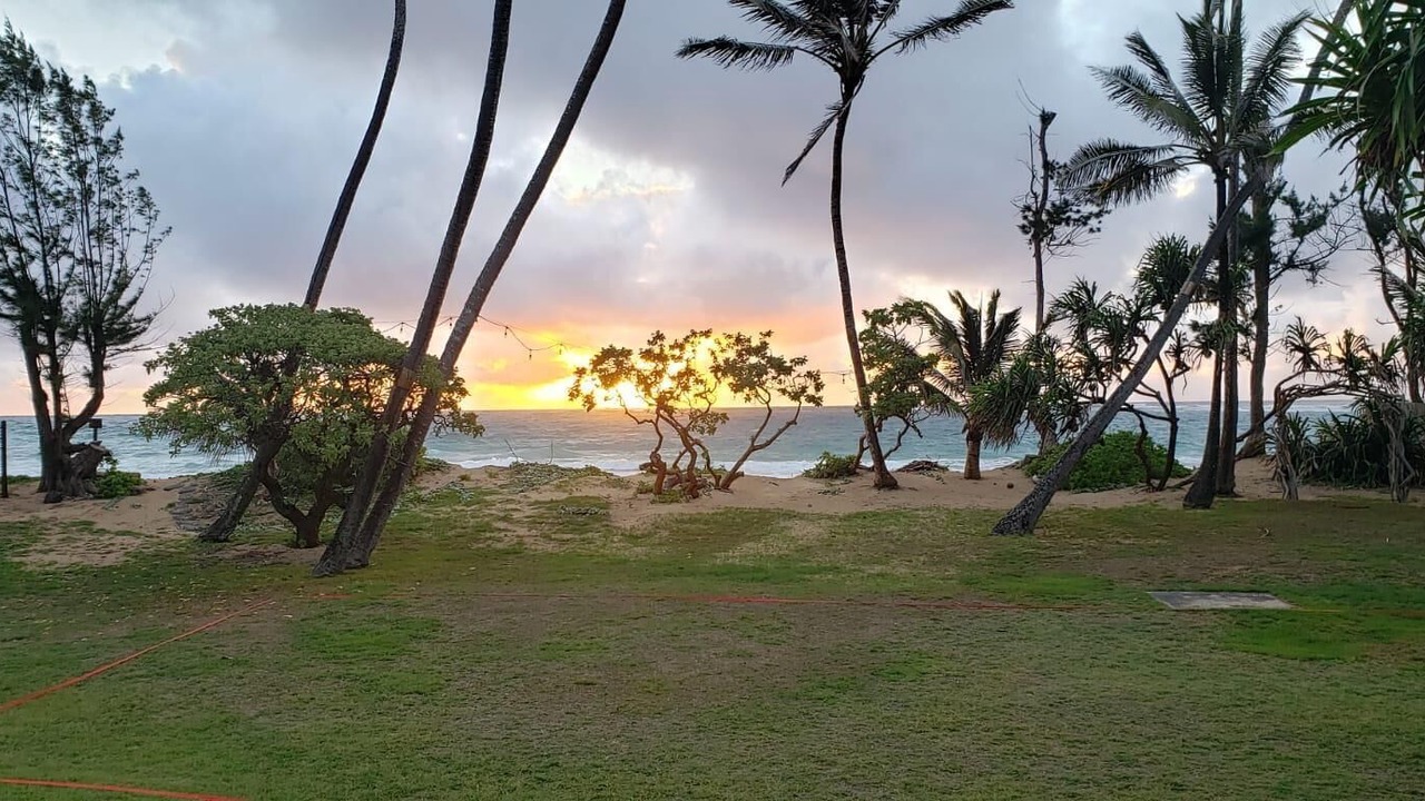 Photo of Outdoor in Laie