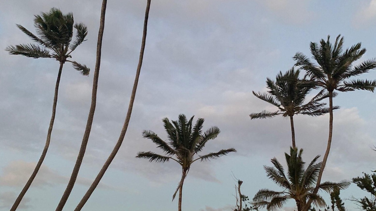 Photo of Outdoor in Laie