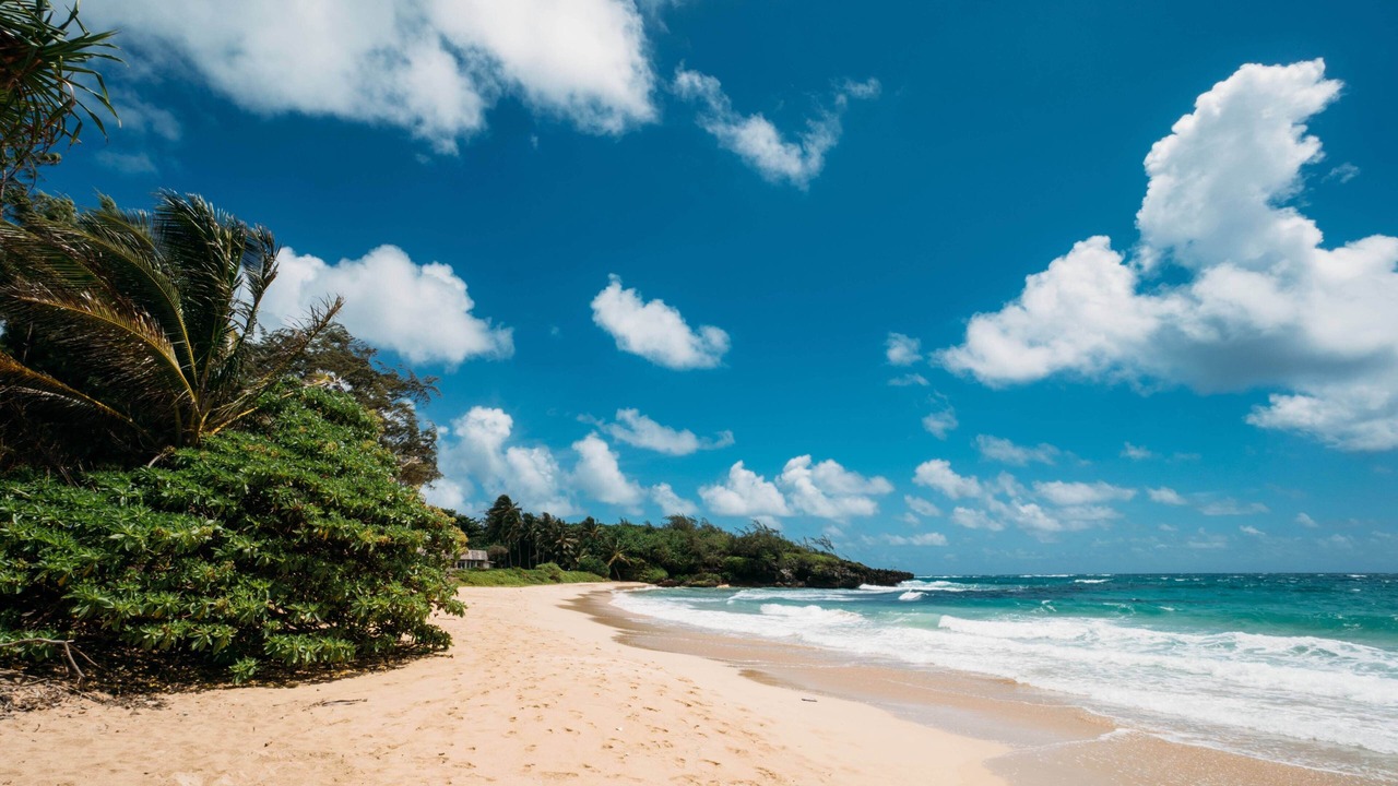 Photo of Others in Laie