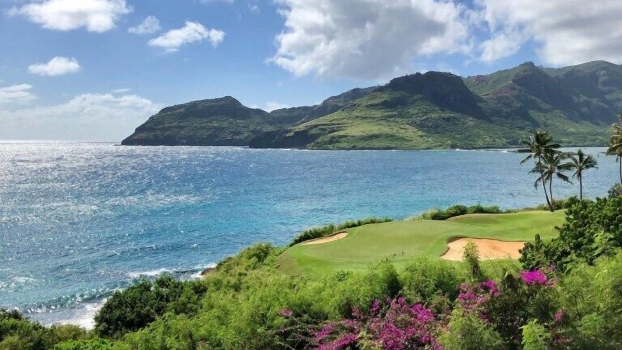 Photo of Others in Lihue