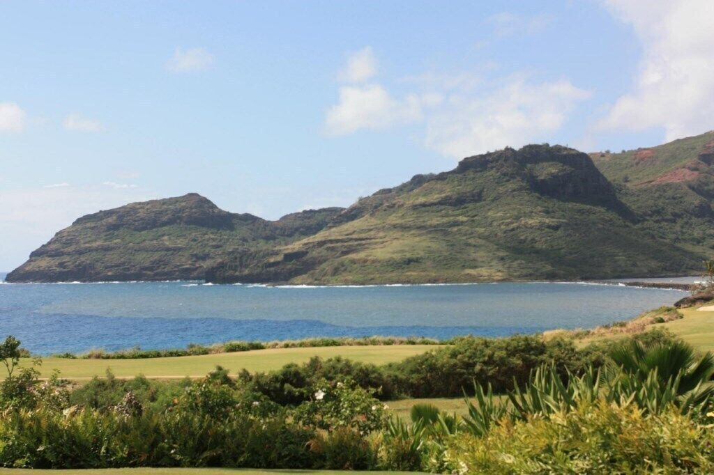 Photo of Others in Lihue