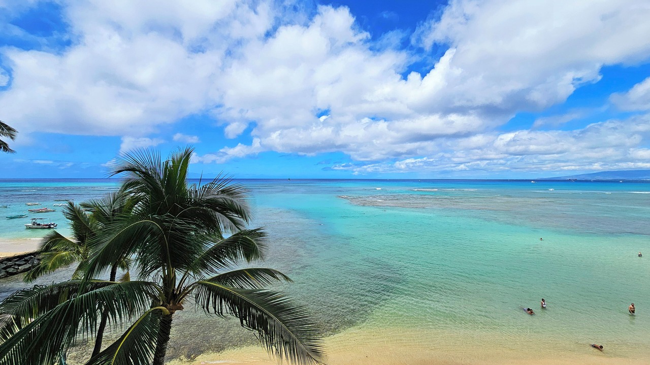 Photo of Others in Diamond Head - Kapahulu - St. Louis