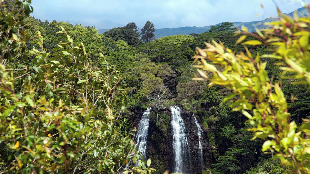 Photo of Outdoor in Princeville