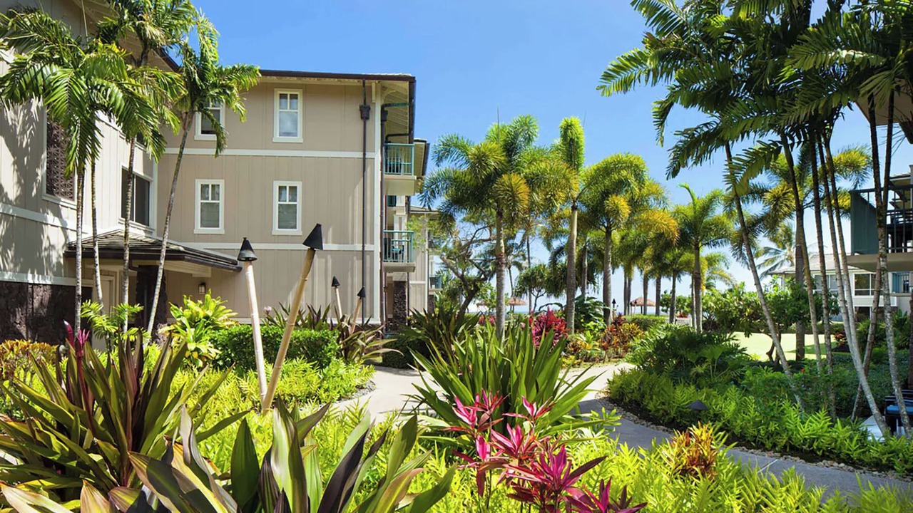Photo of Outdoor in Princeville