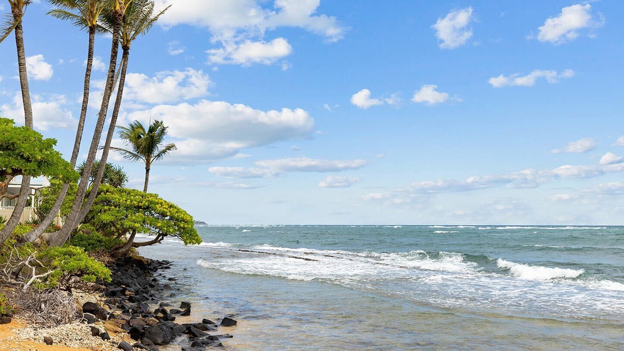 Photo of Others in Wailua