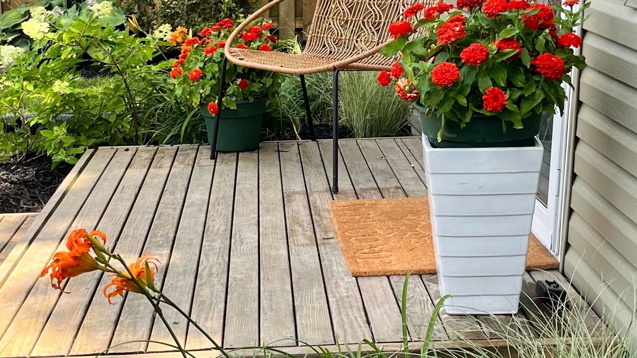 Photo of Patio Balcony in Houston