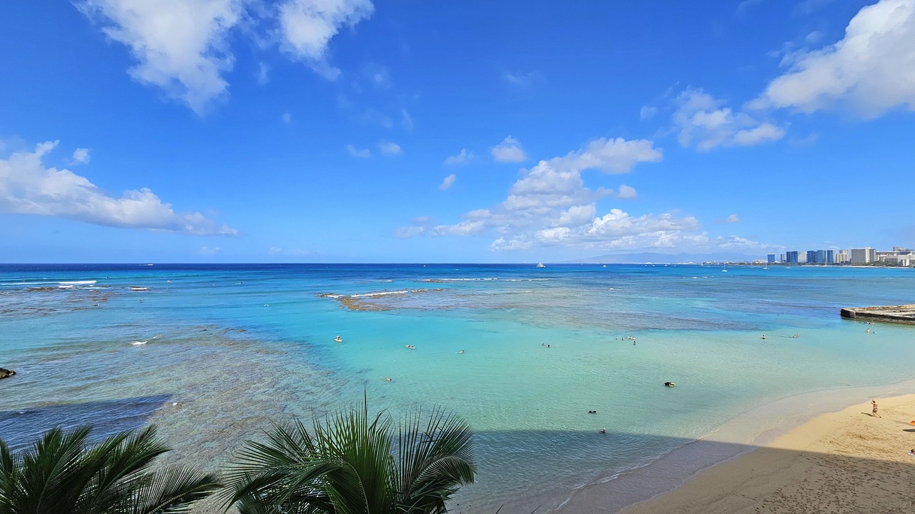 Photo of Others in Diamond Head - Kapahulu - St. Louis