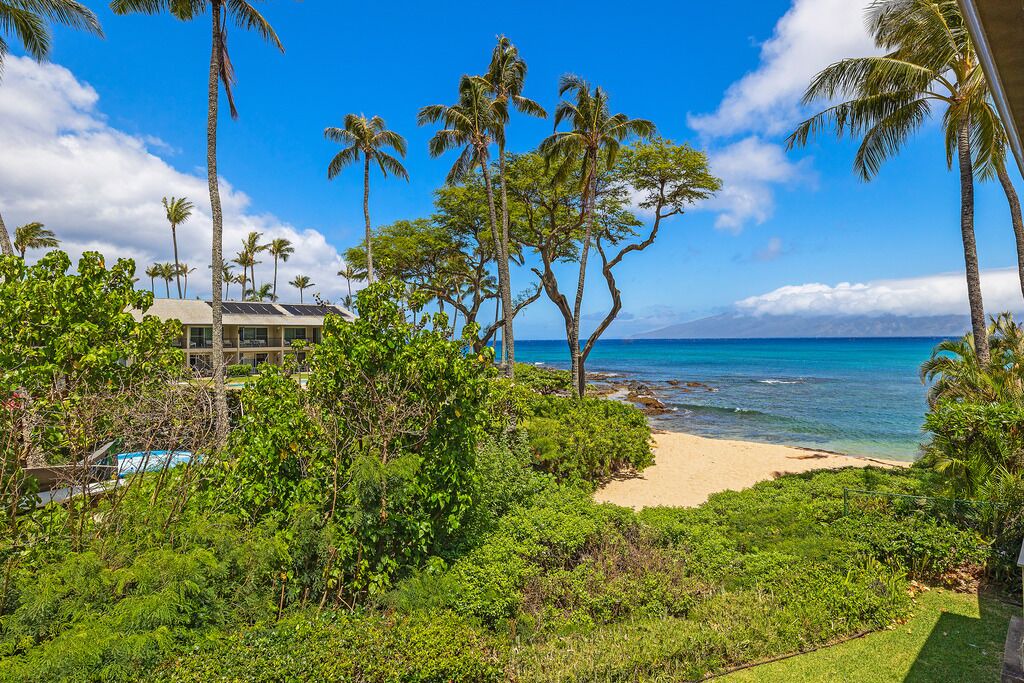 Photo of Others in Napili