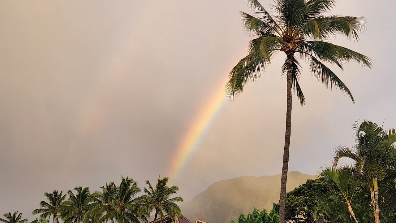 Photo of Others in Makaha Valley