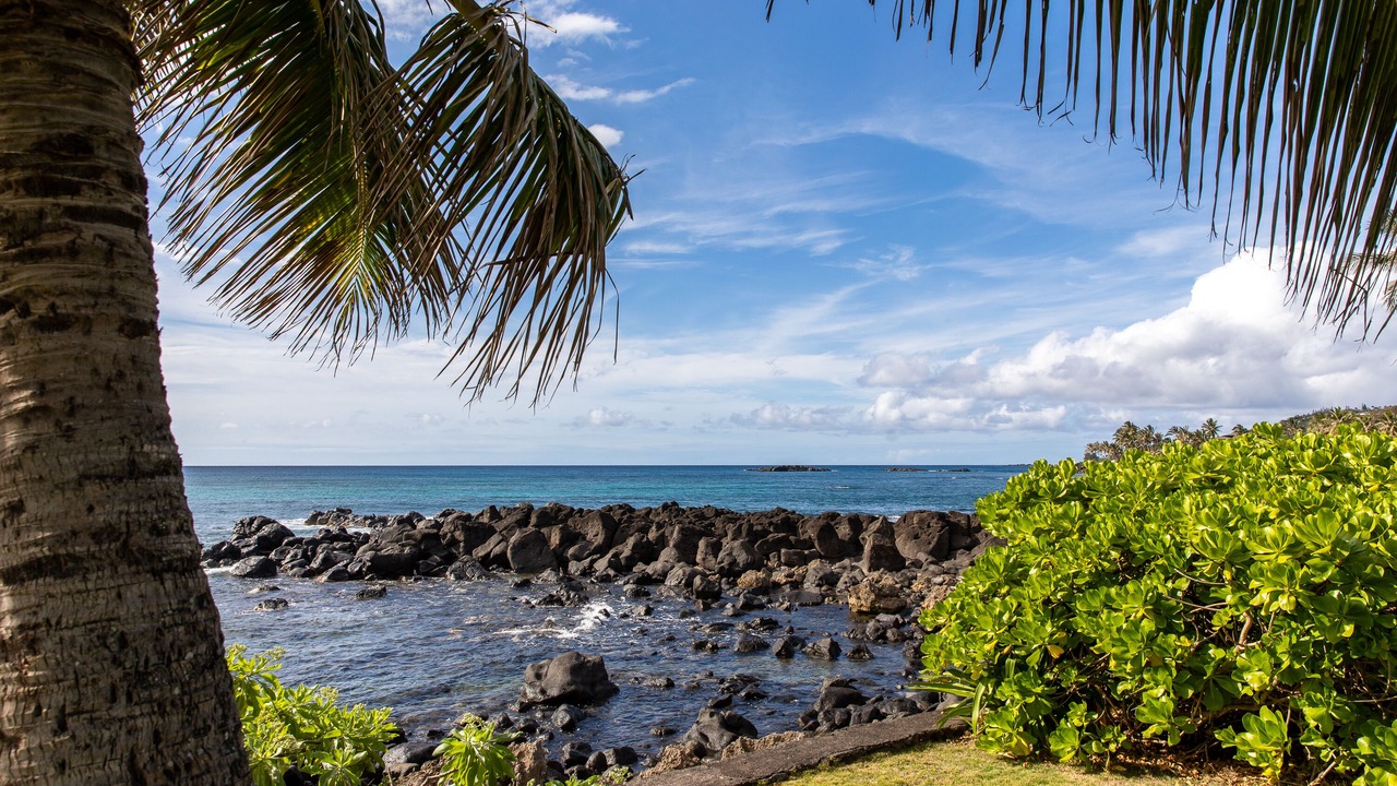 Photo of Outdoor in Waialee