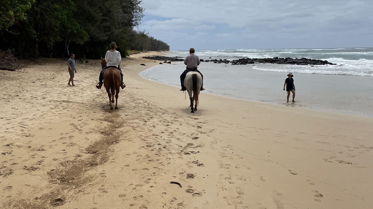 Photo of Others in Poipu