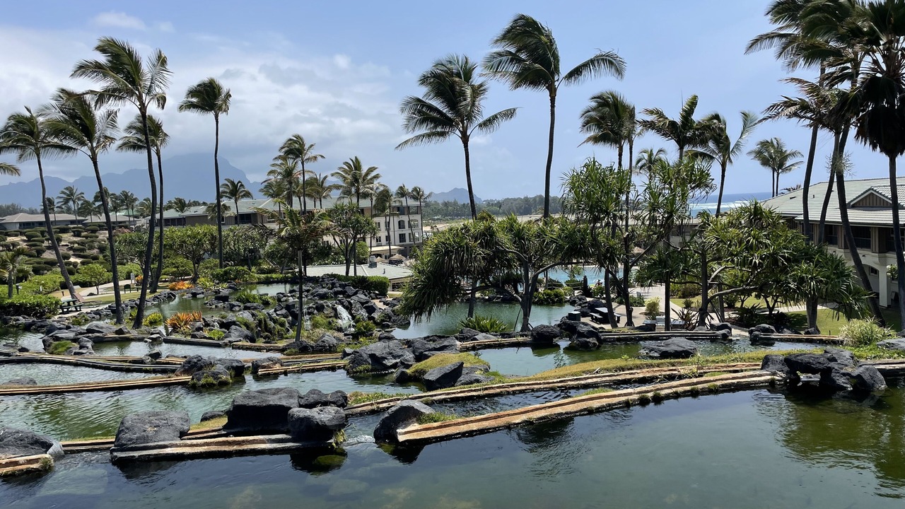 Photo of Outdoor in Poipu