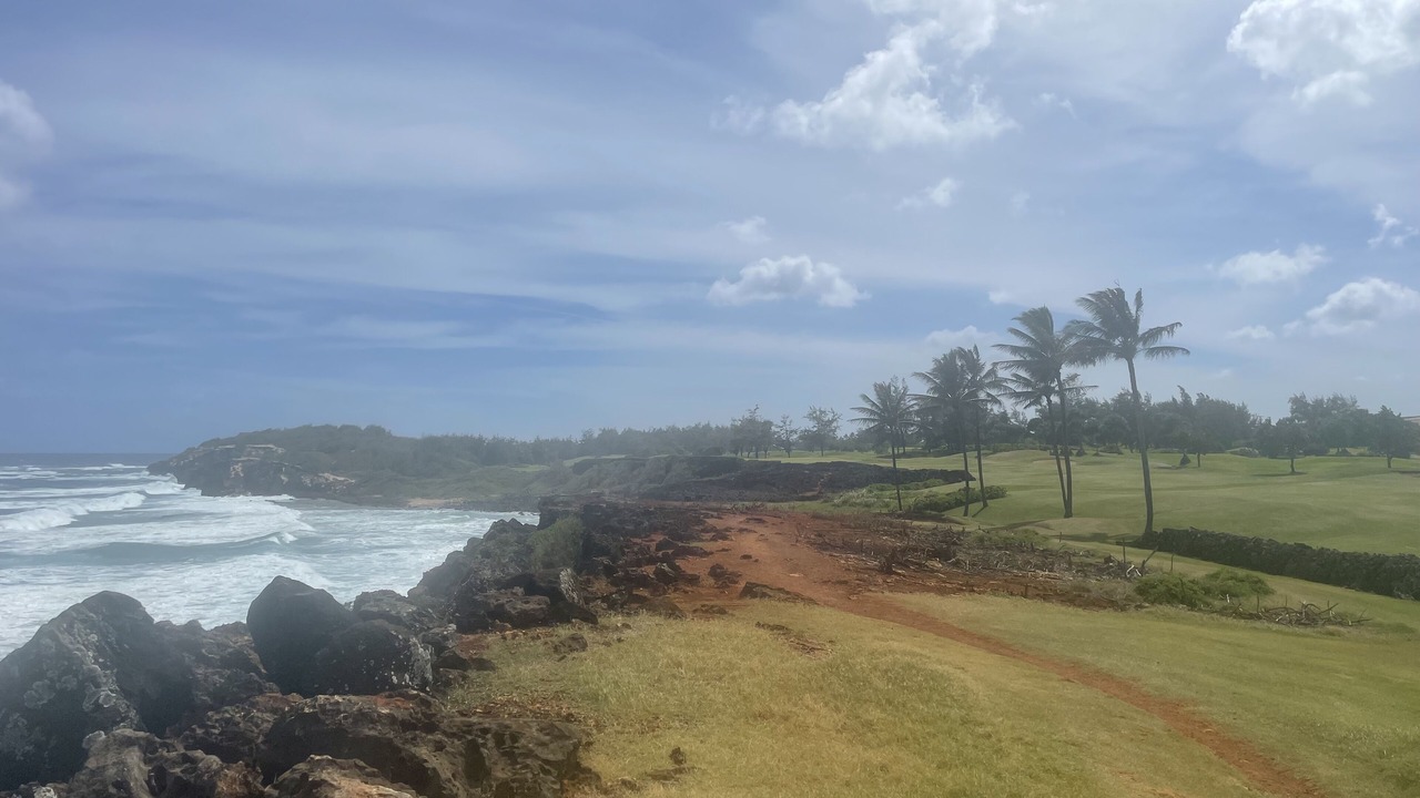 Photo of Others in Poipu