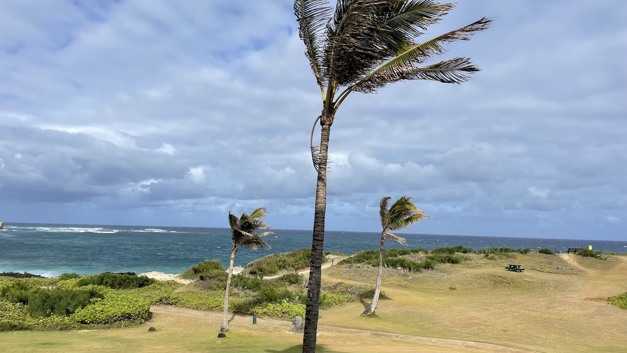 Photo of Others in Poipu