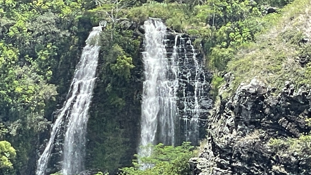 Photo of Others in Poipu