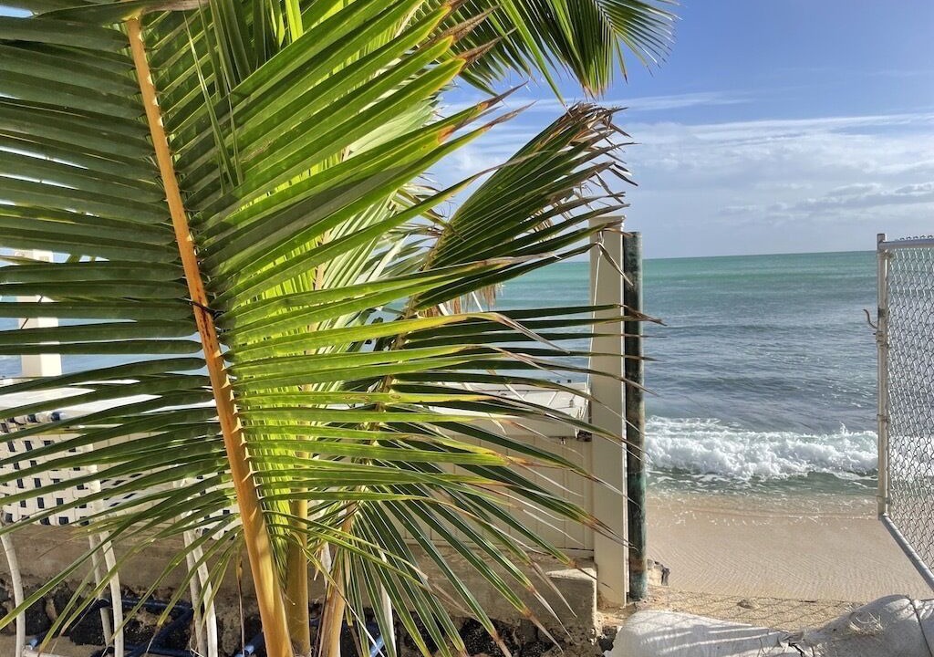 Photo of Others in Ewa Beach