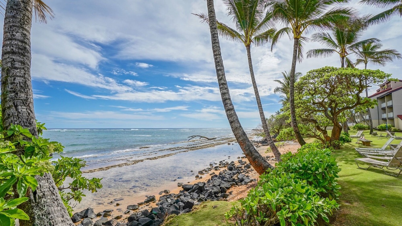 Photo of Others in Kapaa