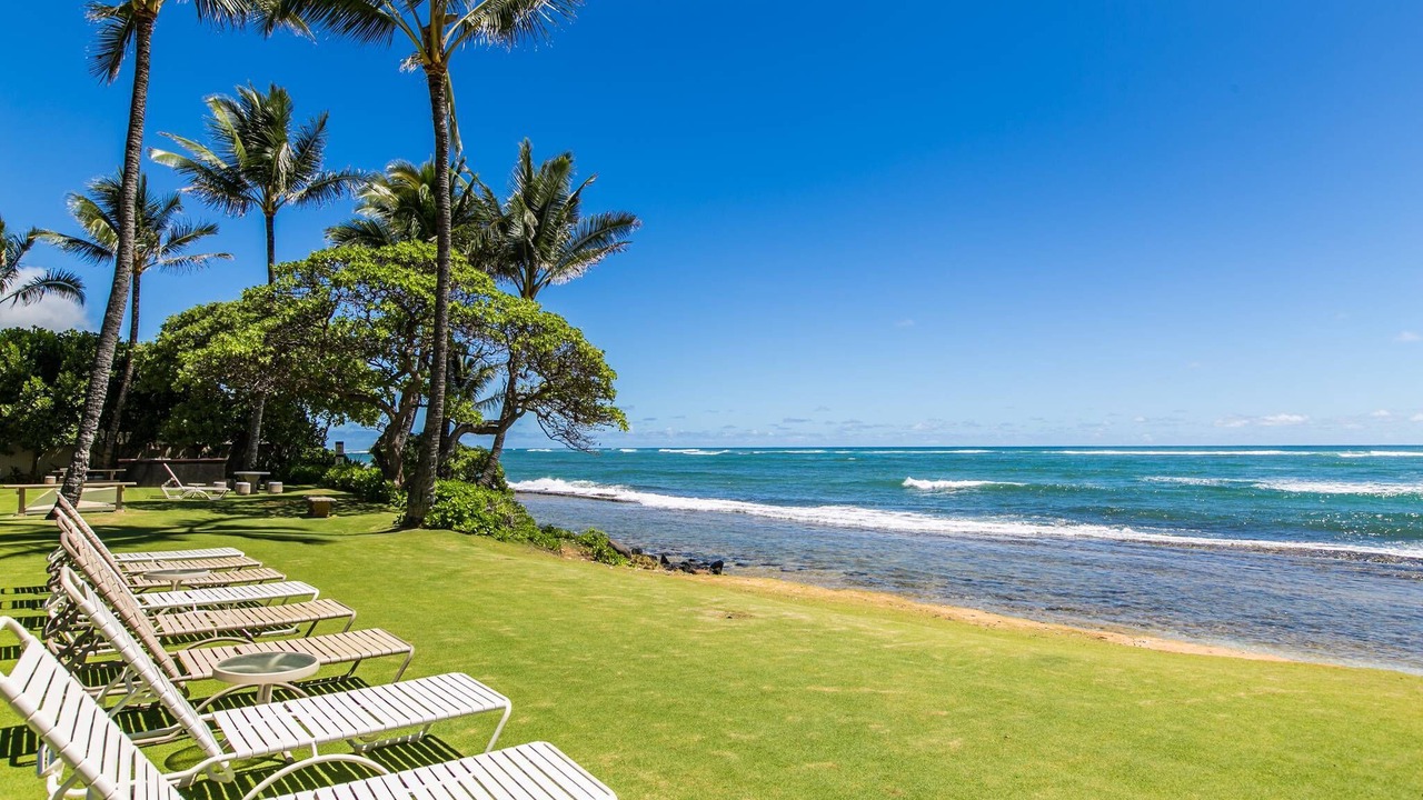 Photo of Others in Kapaa
