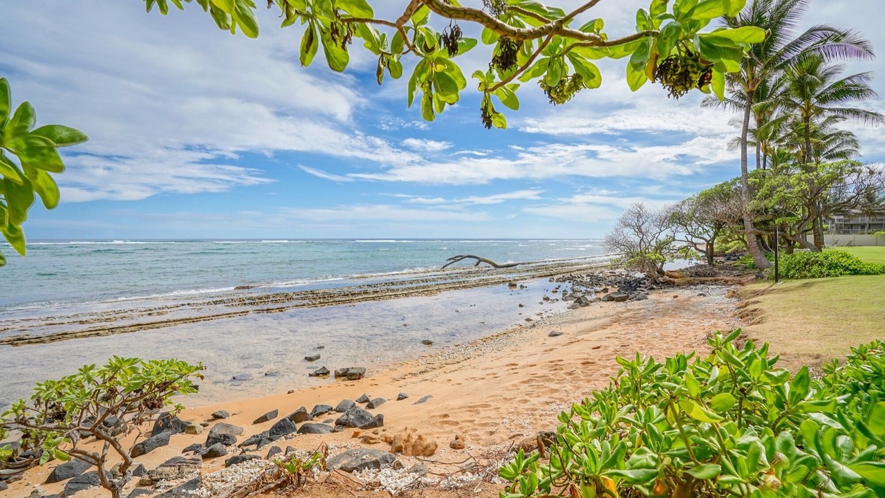 Photo of Others in Kapaa