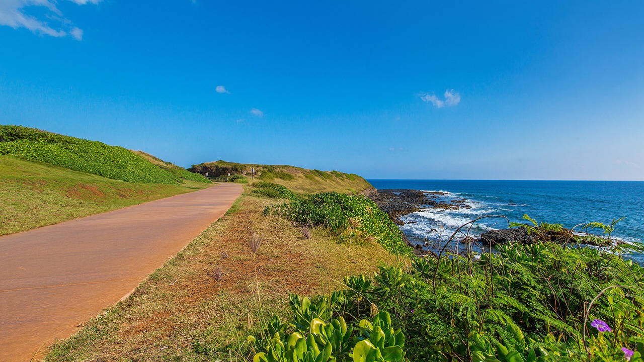 Photo of Others in Kapaa