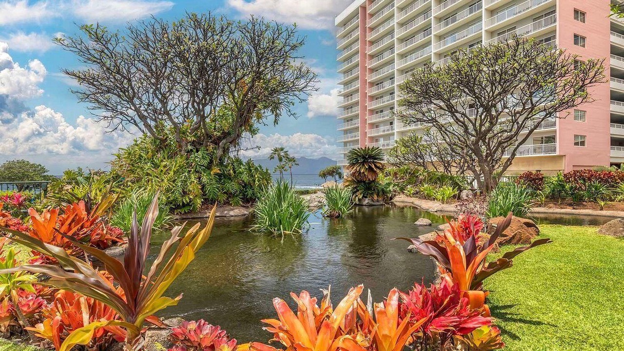 Photo of Outdoor in Honokowai