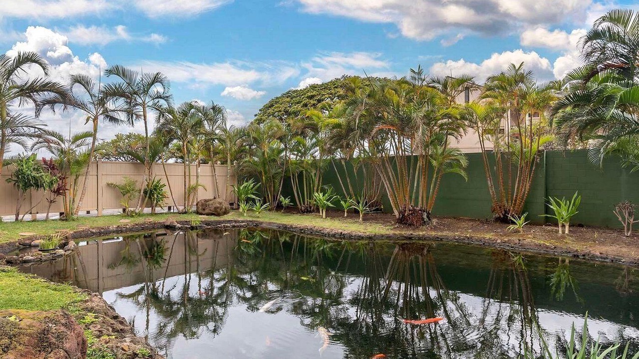 Photo of Outdoor in Honokowai
