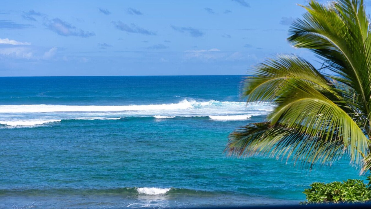 Photo of Others in Kahuku