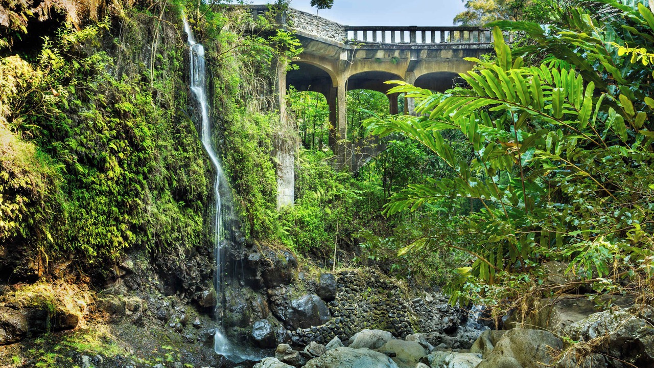 Photo of Others in Napili