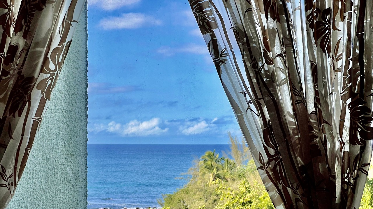 Photo of Others in Hilo
