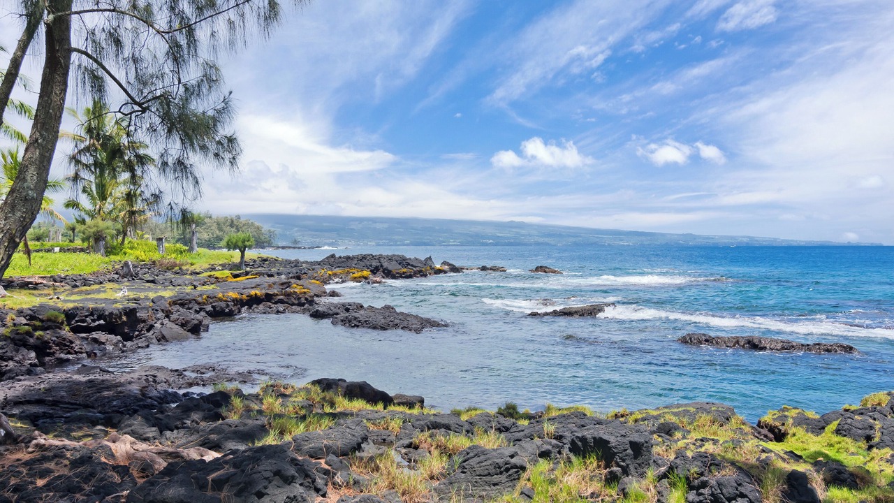 Photo of Others in Hilo