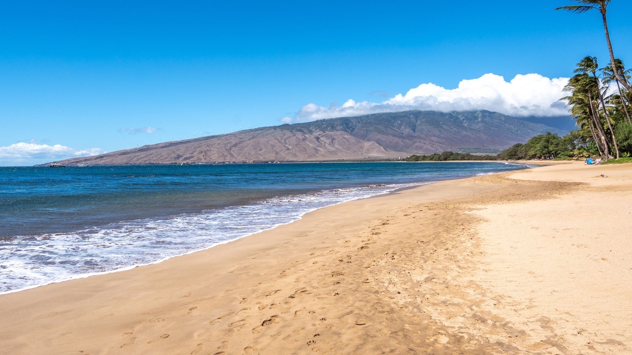 Photo of Others in Kihei