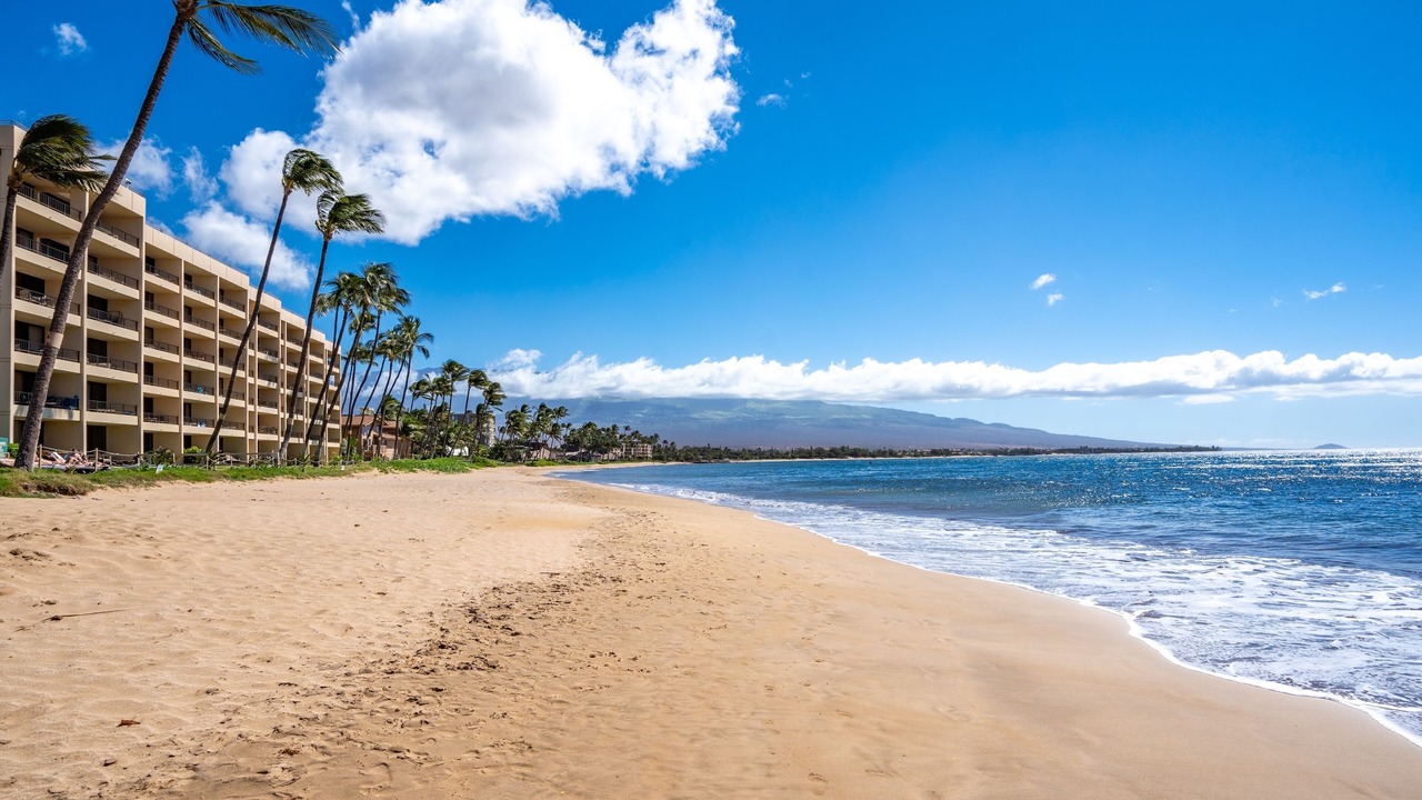 Photo of Others in Kihei