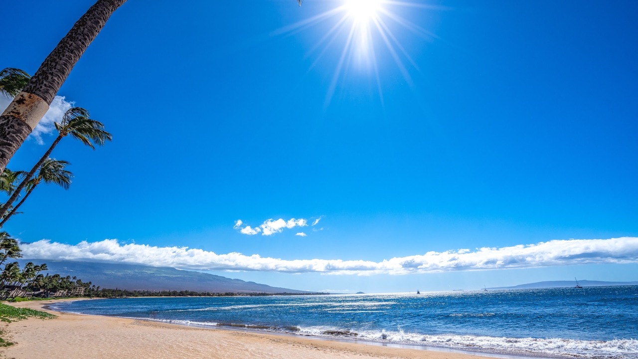 Photo of Others in Kihei