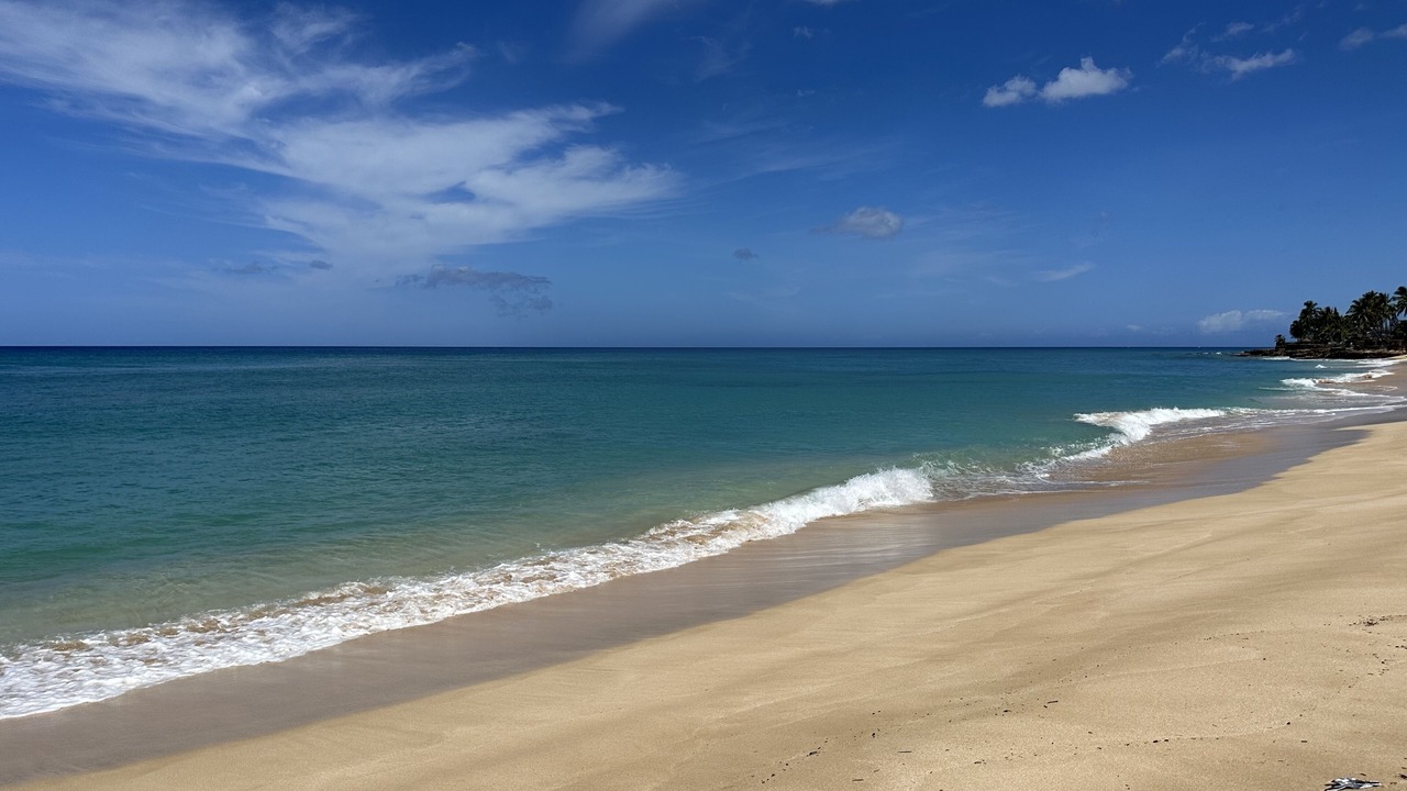 Photo of Others in Makaha