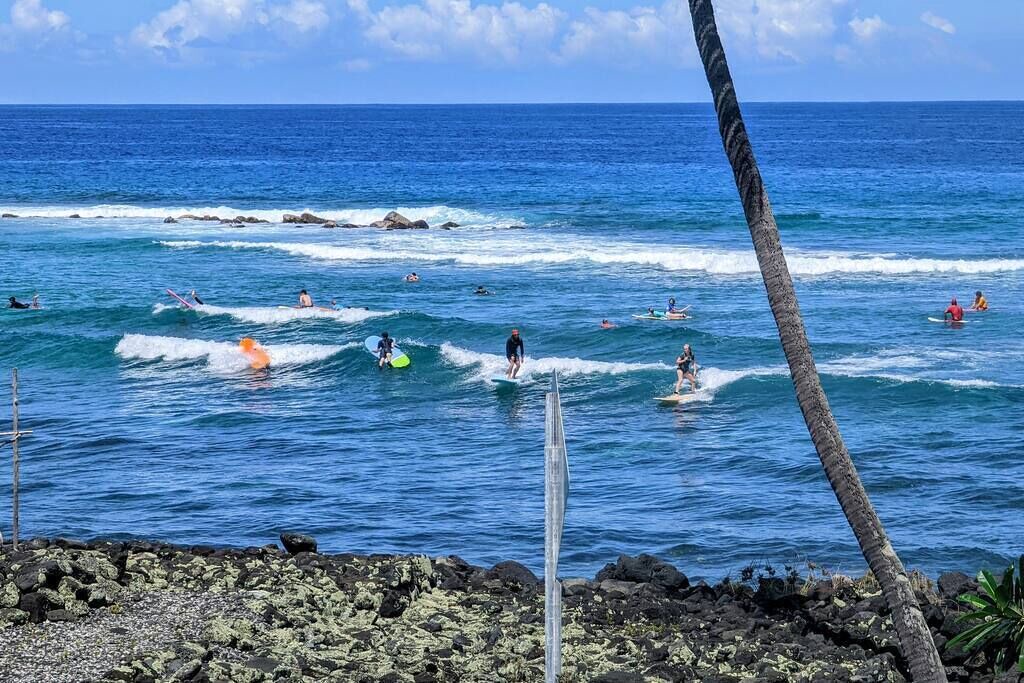 Photo of Others in Kahaluu Bay