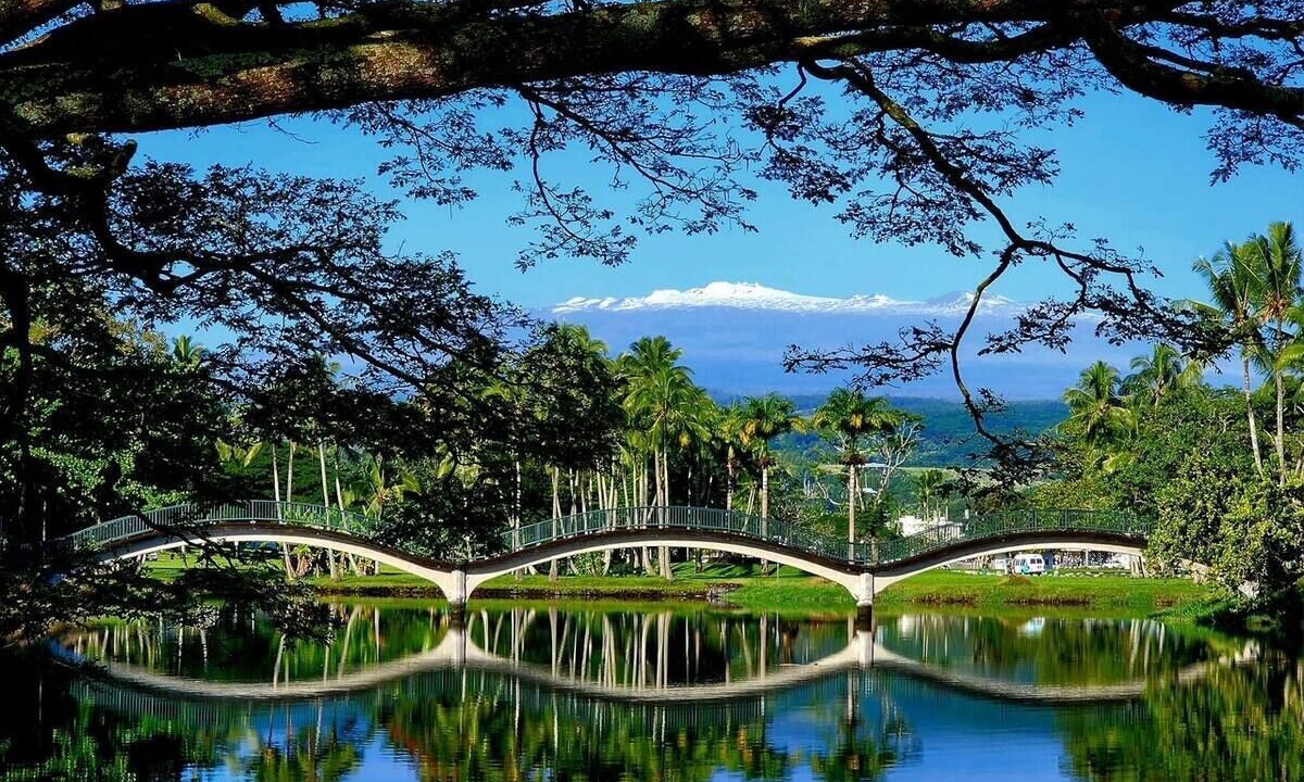 Photo of Outdoor in Hilo