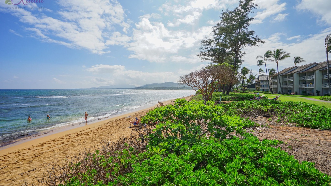 Photo of Others in Wailua