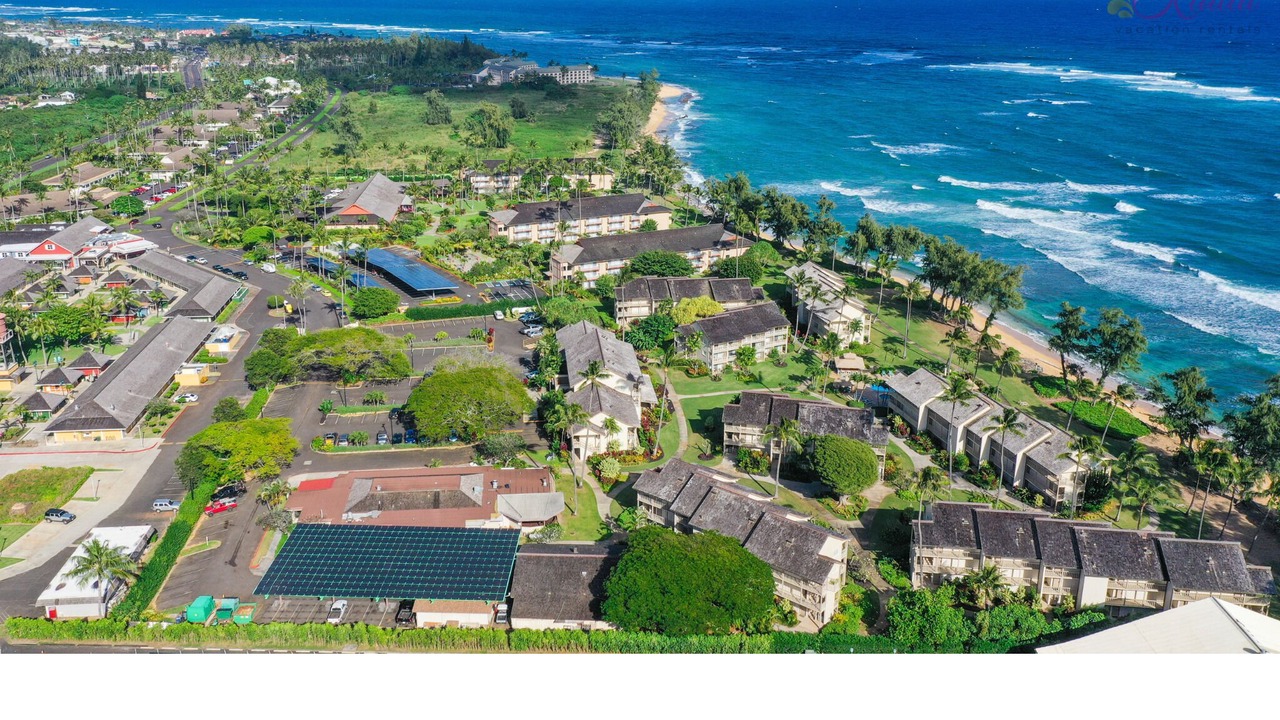 Photo of Others in Wailua