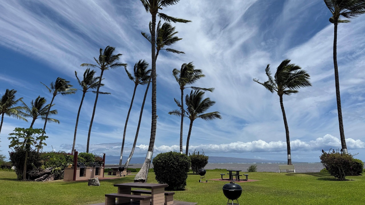 Photo of Outdoor in Kaunakakai