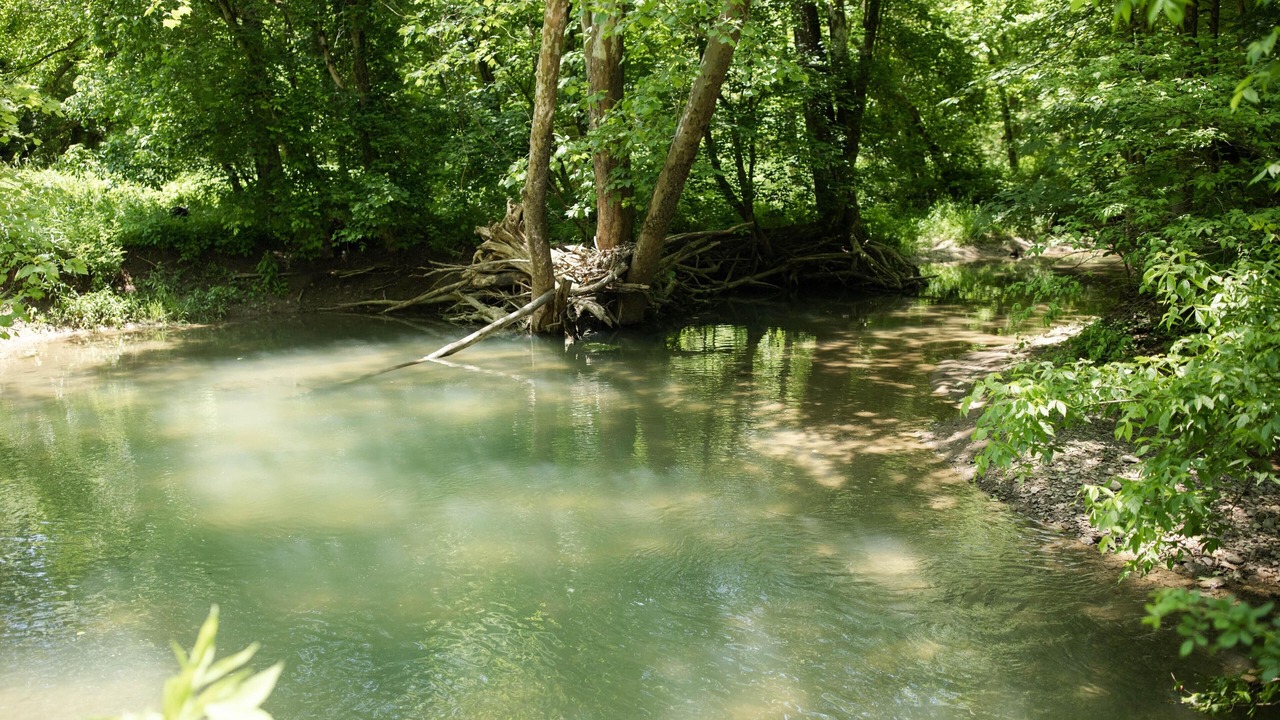 Photo of Outdoor in Sharpsburg