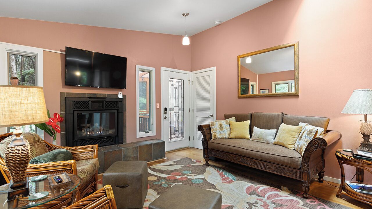 Photo of Livingroom in Volcano