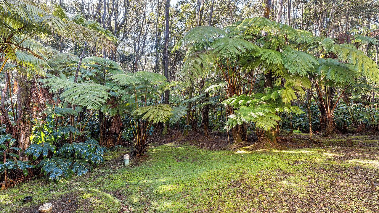 Photo of Outdoor in Volcano