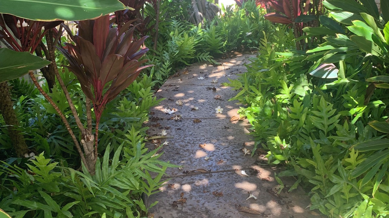 Photo of Outdoor in Ko Olina
